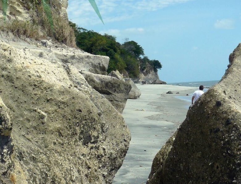 Para una inversión y desarrollo Frente a Playa Corona: 270 Hectáreas con +1.2 Km de Frente de Playa