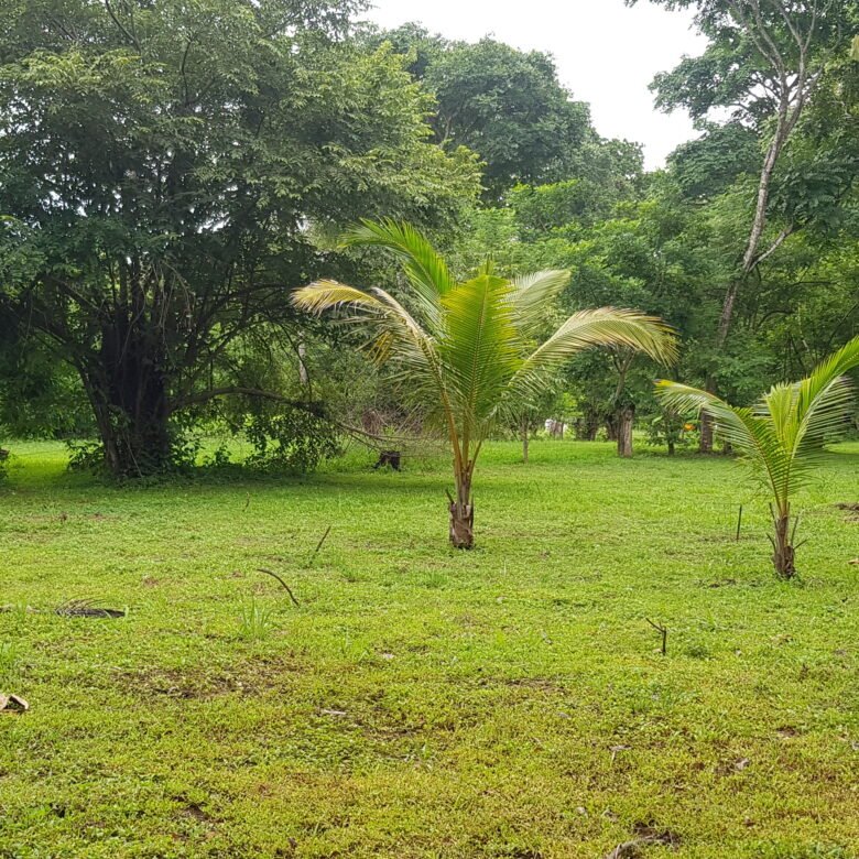 Capira: Hermoso Terreno de 1,2 Hectáreas, con Agua Viva