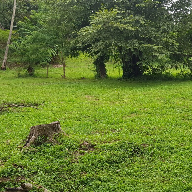Capira: Hermoso Terreno de 1,2 Hectáreas, con Agua Viva
