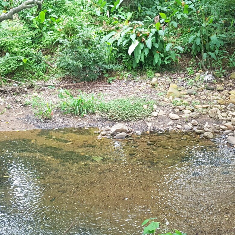 Capira: Hermoso Terreno de 1,2 Hectáreas, con Agua Viva