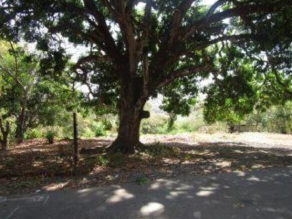 Tanara: Finca Ganadera en Venta, de 25 Hectáreas Plano – Ondulado, con Agua Viva