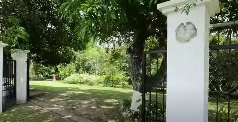 Finca en Playa San Carlos: con 2 Casas, 4.3 Hectáreas (10.585 Acres) de Terreno
