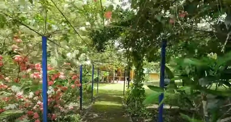 Finca en Playa San Carlos: con 2 Casas, 4.3 Hectáreas (10.585 Acres) de Terreno