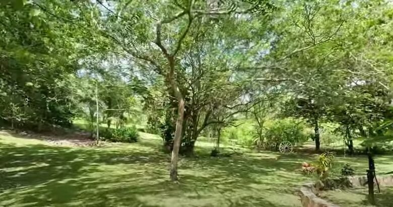 Finca en Playa San Carlos: con 2 Casas, 4.3 Hectáreas (10.585 Acres) de Terreno
