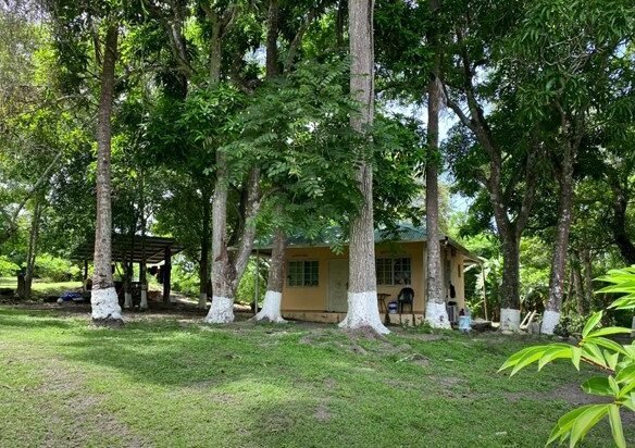 Finca en Playa San Carlos: con 2 Casas, 4.3 Hectáreas (10.585 Acres) de Terreno