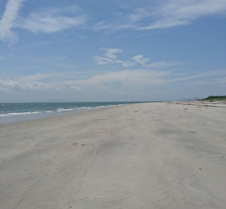 Su Vida Frente a Playa: Experimente y Disfrute de Punta Chame, Frente a Playa