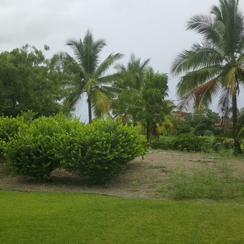 Casa en Campo de Golf : Santa María, exclusiva comunidad completa con garita de seguridad 24 horas