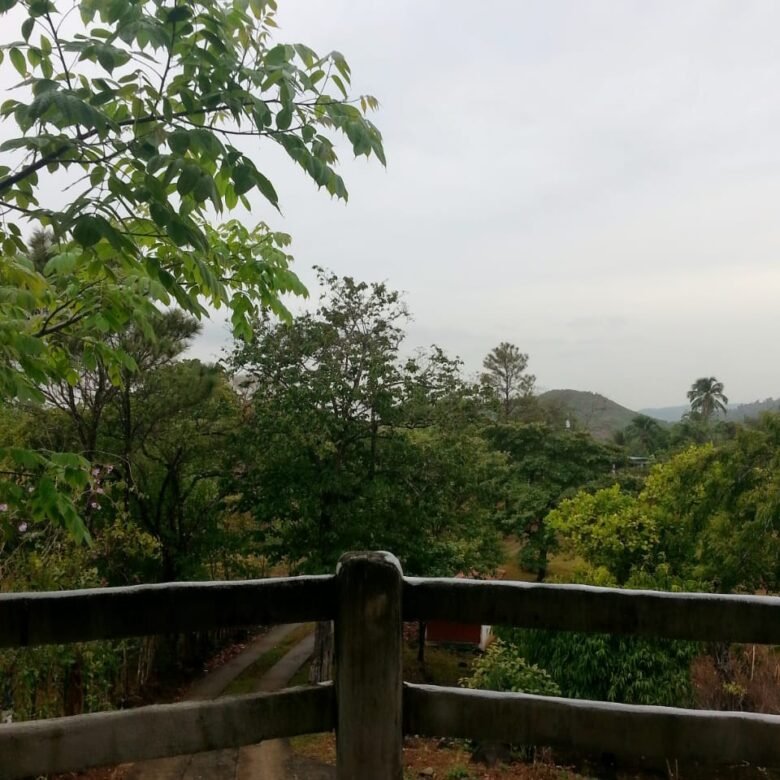 Finca con Casa – La Mesa de San Martin: 3 Hectáreas, Cerca de La Ciudad