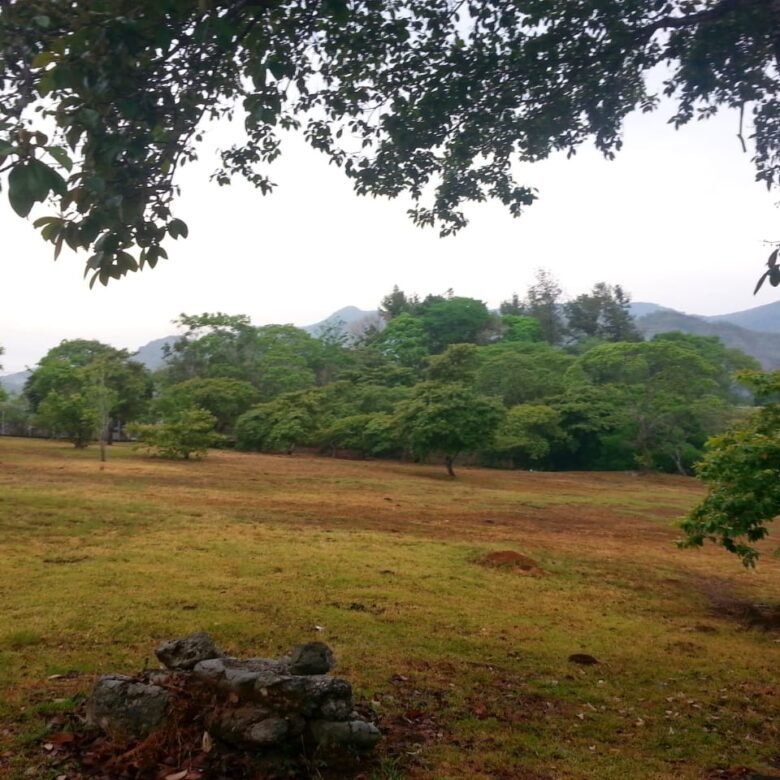 Finca con Casa – La Mesa de San Martin: 3 Hectáreas, Cerca de La Ciudad