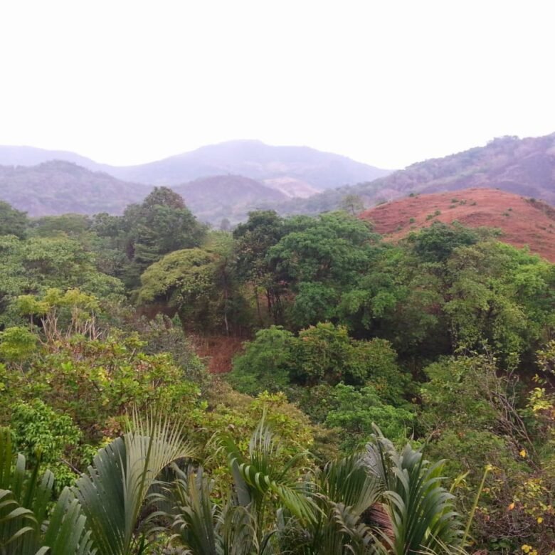 Finca con Casa – La Mesa de San Martin: 3 Hectáreas, Cerca de La Ciudad