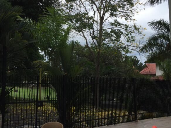 Albrook: Casa Unifamiliar, Cómoda, Colinda Area Verde – 5 Recs + Atico + Cbe