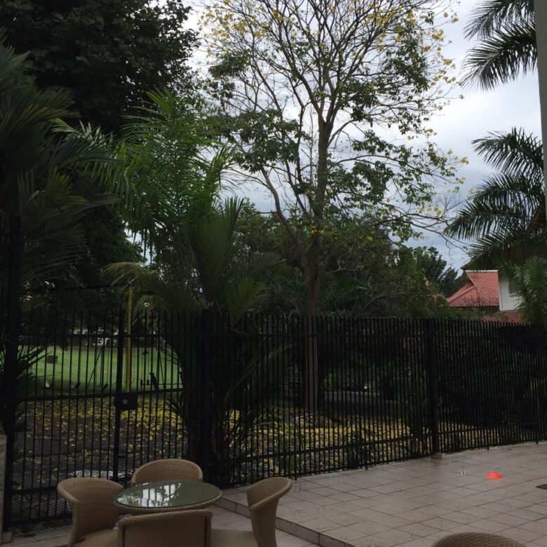 Albrook: Casa Unifamiliar, Cómoda, Colinda Area Verde – 5 Recs + Atico + Cbe
