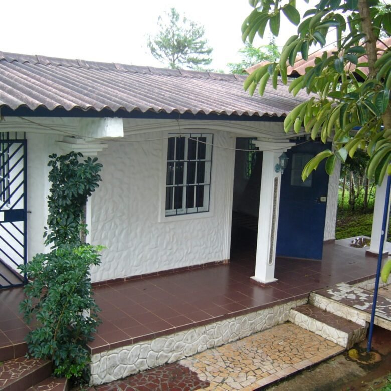 Finca con Casa – La Mesa de San Martin: 3 Hectáreas, Cerca de La Ciudad