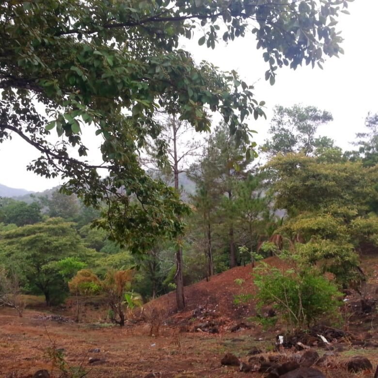 Finca con Casa – La Mesa de San Martin: 3 Hectáreas, Cerca de La Ciudad