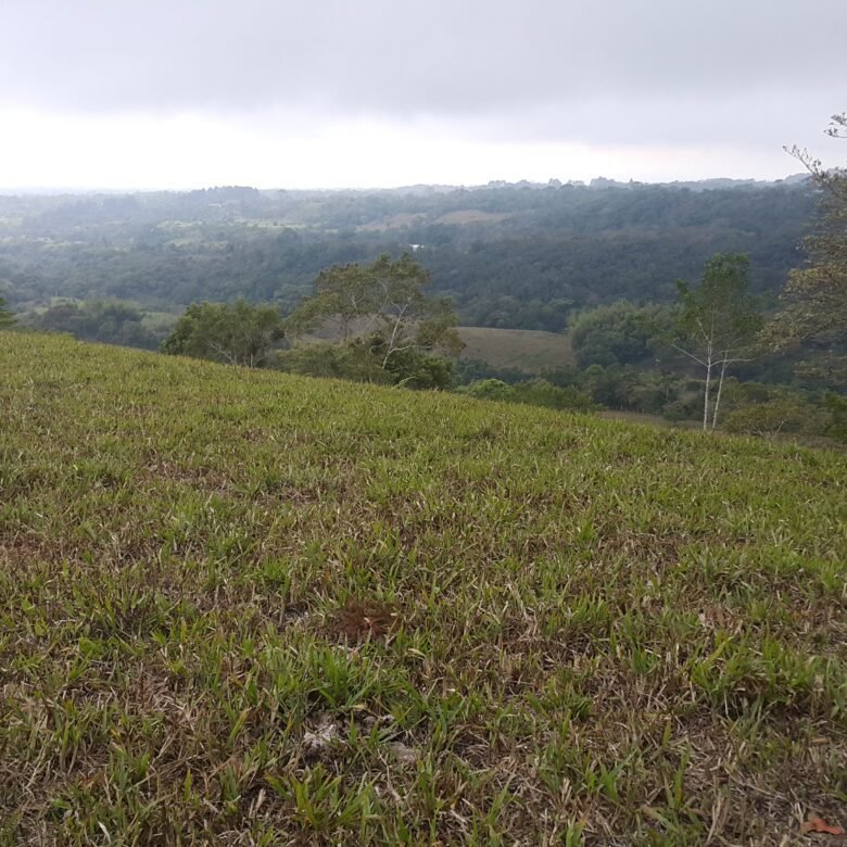 Chiriquí, Potrerillos – Terreno/finca: 5.5 Hectáreas, Clima Templado