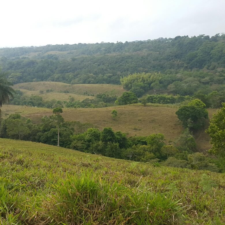 Chiriquí, Potrerillos – Terreno/finca: 5.5 Hectáreas, Clima Templado