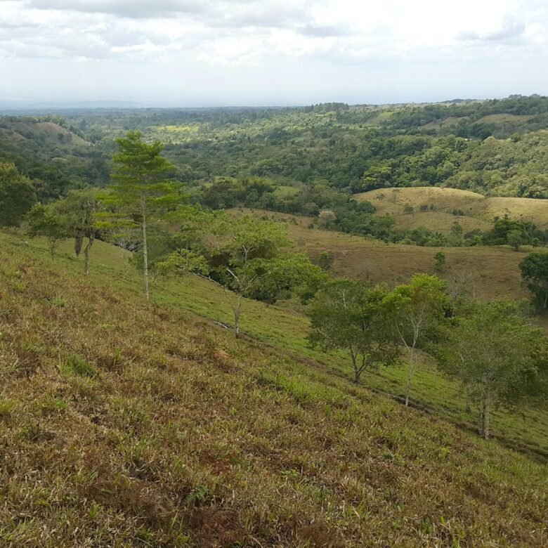 Chiriquí, Potrerillos – Terreno/finca: 5.5 Hectáreas, Clima Templado