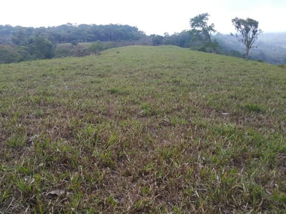 Chiriquí, Potrerillos – Terreno/finca: 5.5 Hectáreas, Clima Templado