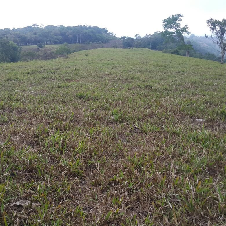 Chiriquí, Potrerillos – Terreno/finca: 5.5 Hectáreas, Clima Templado