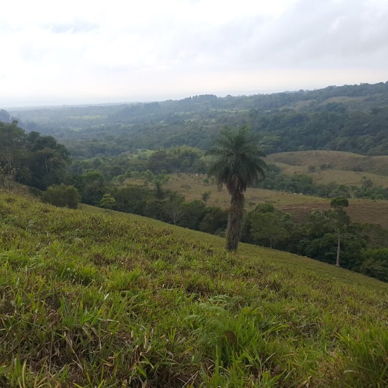 Chiriquí, Potrerillos – Terreno/finca: 5.5 Hectáreas, Clima Templado