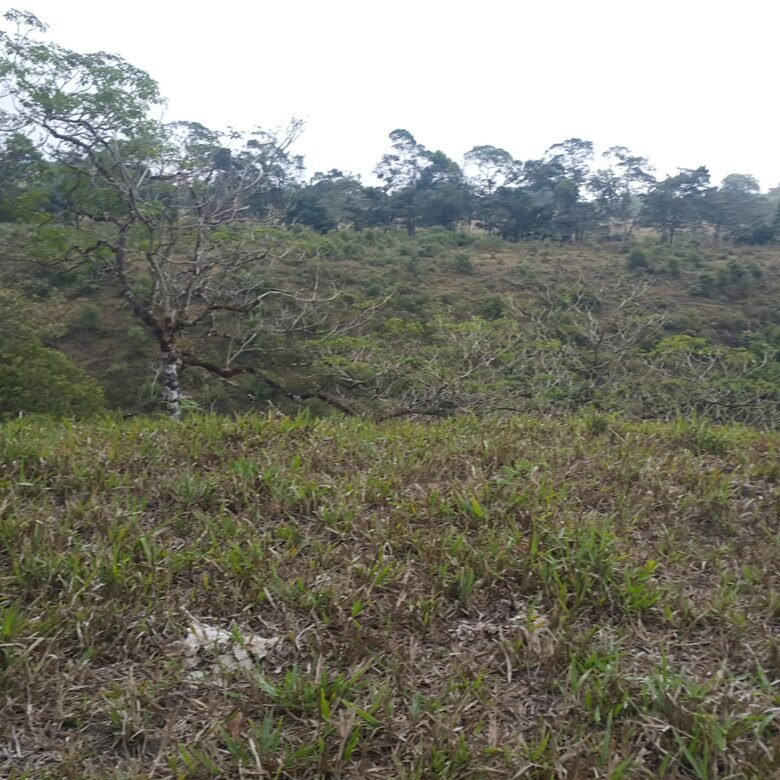Chiriquí, Potrerillos – Terreno/finca: 5.5 Hectáreas, Clima Templado