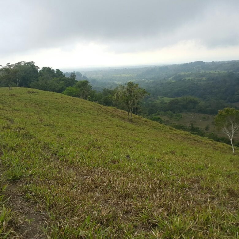 Chiriquí, Potrerillos – Terreno/finca: 5.5 Hectáreas, Clima Templado