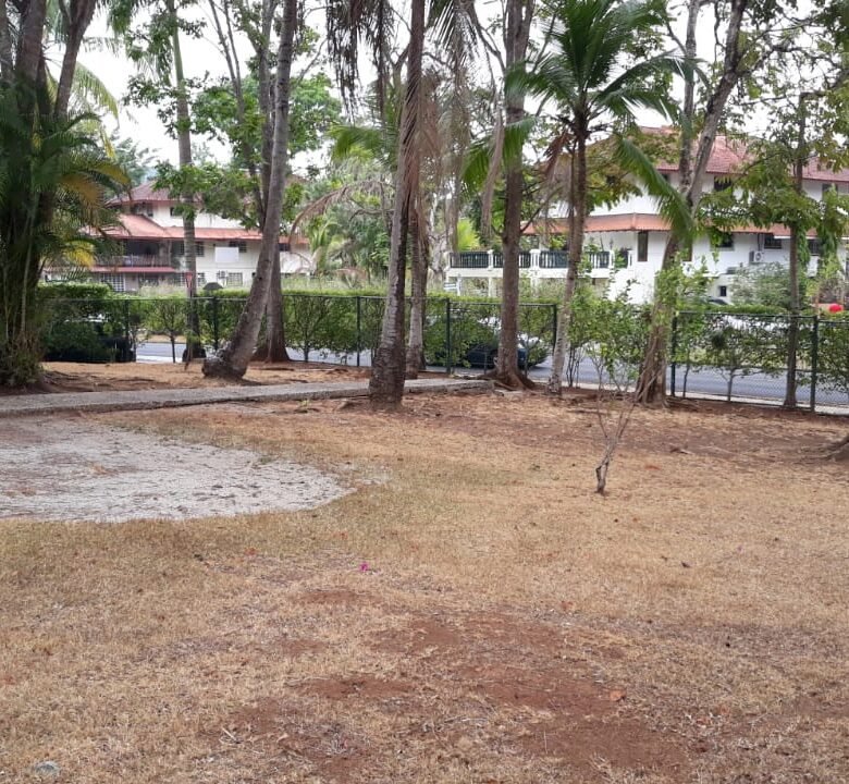 Hermosa Residencia en Albrook: 3 Habitaciones, Remodelada, 750 m² de Terreno