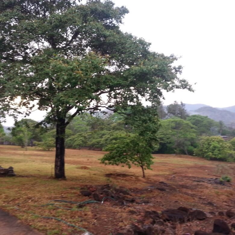 Finca con Casa – La Mesa de San Martin: 3 Hectáreas, Cerca de La Ciudad