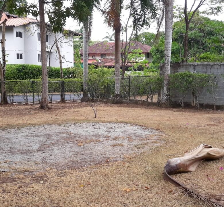 Hermosa Residencia en Albrook: 3 Habitaciones, Remodelada, 750 m² de Terreno