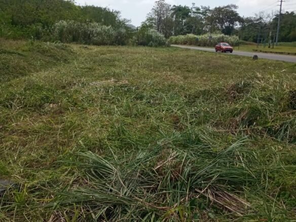 Terreno Zonificación Industrial – Clayton: 145 m Frente de Calle Principal