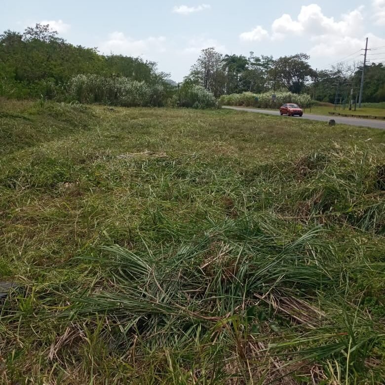 Terreno Zonificación Industrial – Clayton: 145 m Frente de Calle Principal