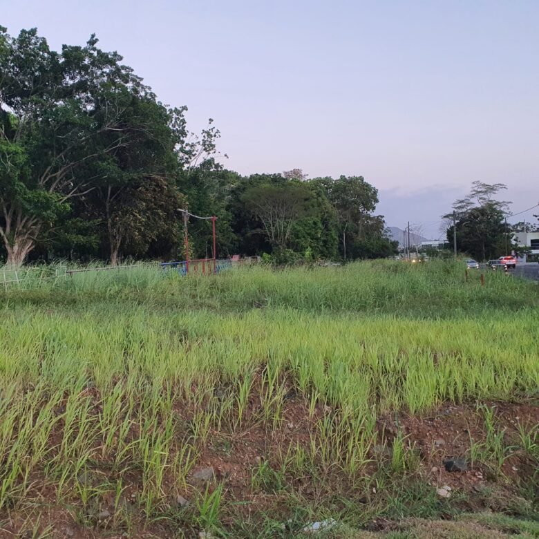 Zonificacion Maxima Mcu3: Area Revertida – Terreno Cercano Al Canal, Clayton