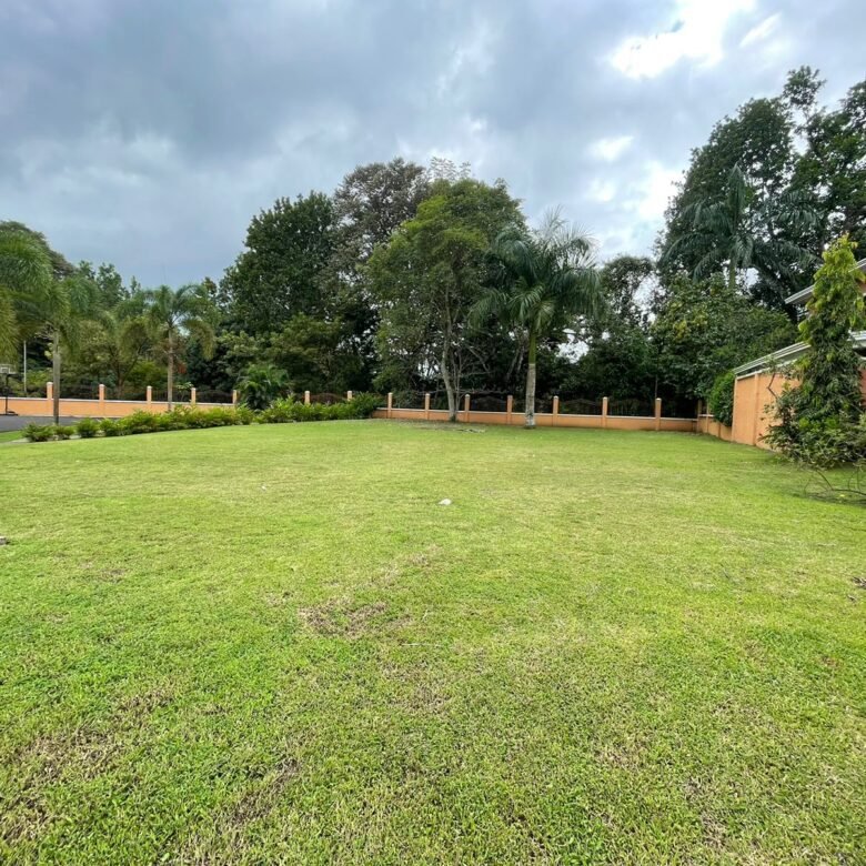 Disfrute de lo Natural – Construya Su Casa en Clayton: Colinda con Área Forestal