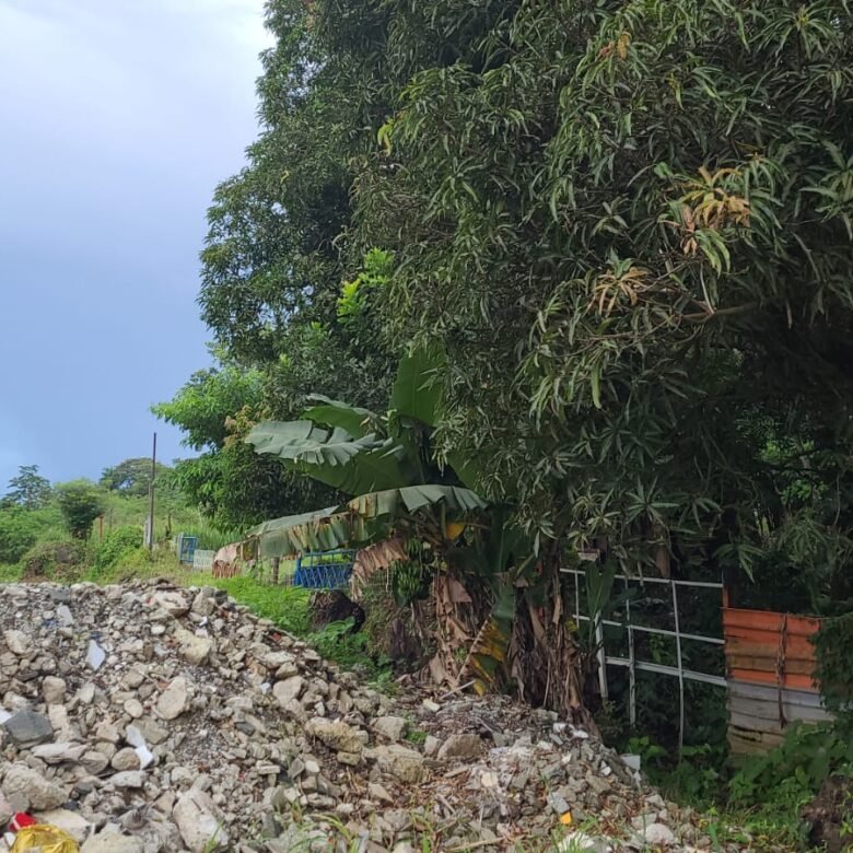 Zonificacion Maxima Mcu3: Area Revertida – Terreno Cercano Al Canal, Clayton