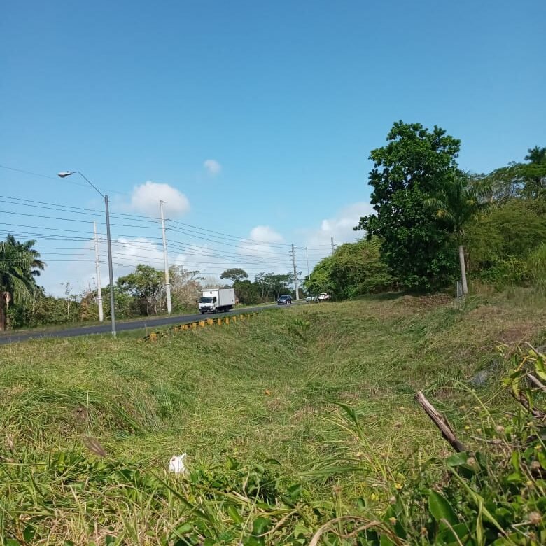 Terreno Zonificación Industrial – Clayton: 145 m Frente de Calle Principal