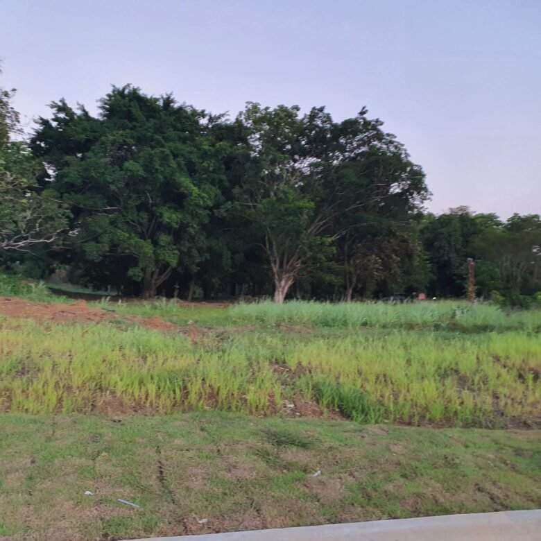 Zonificacion Maxima Mcu3: Area Revertida – Terreno Cercano Al Canal, Clayton