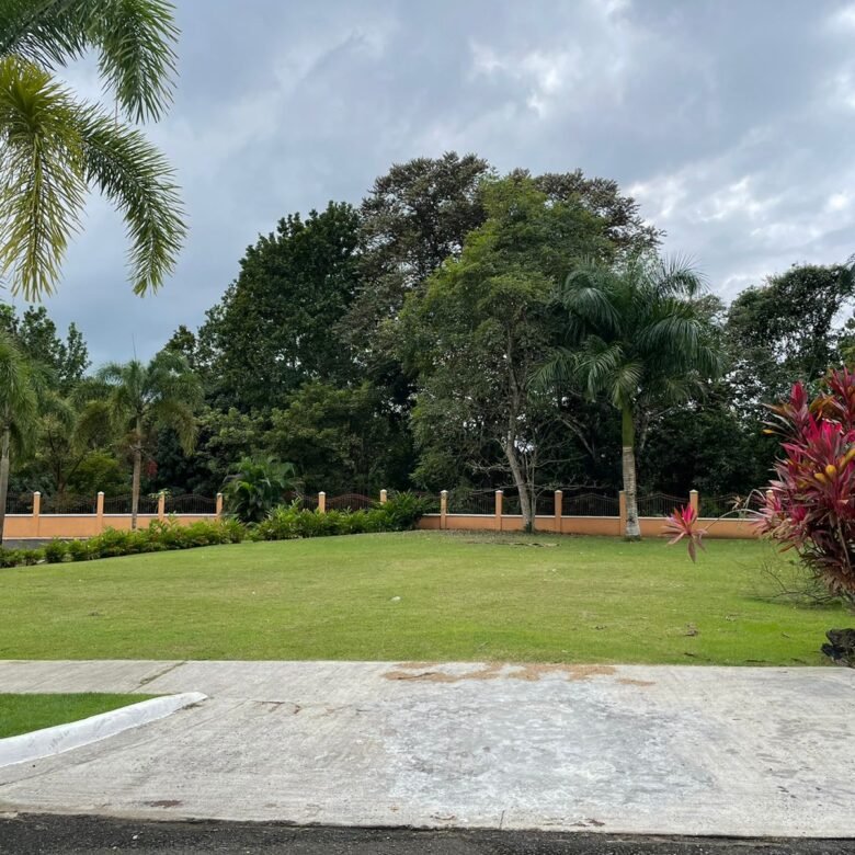 Disfrute de lo Natural – Construya Su Casa en Clayton: Colinda con Área Forestal