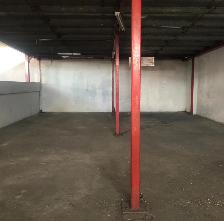 Edificio Completo – Av Central y Calidonia: Rm3c2, con Elevador