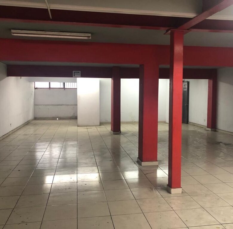 Edificio Completo – Av Central y Calidonia: Rm3c2, con Elevador