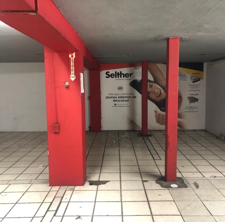 Edificio Completo – Av Central y Calidonia: Rm3c2, con Elevador