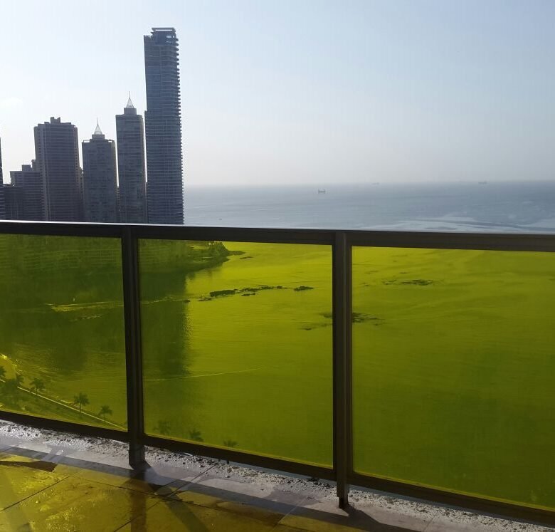 Av Balboa, Frente al Mar: Yoo Tower, Apartamento de 3 recamaras