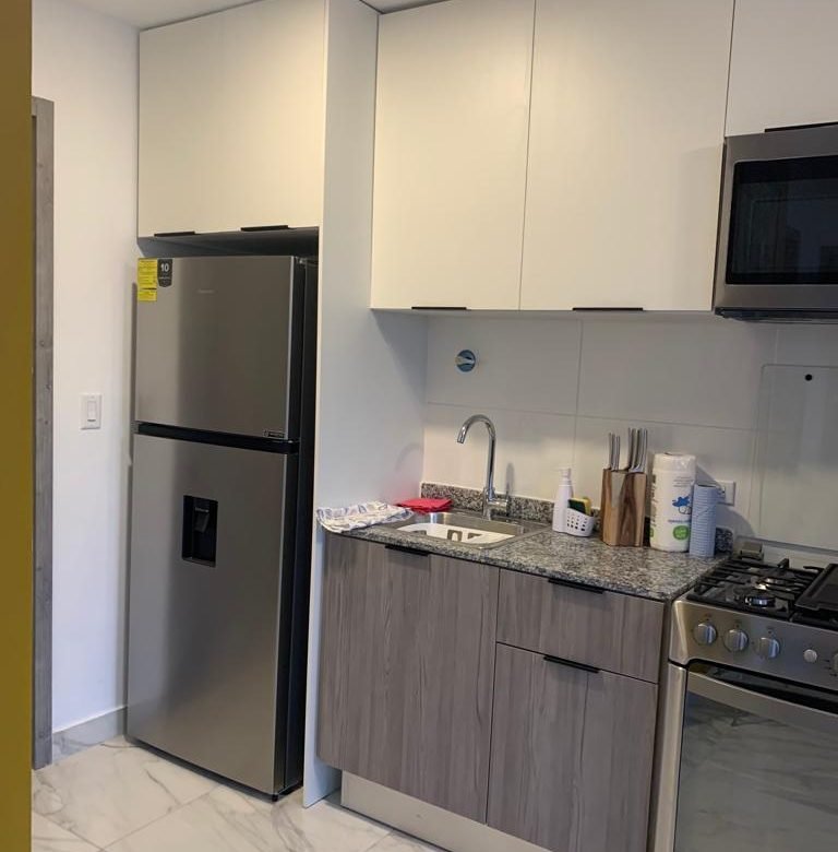Calle 50, Area Bancaria, Bella Vista: The Gray Amoblado Total, con Luz, Internet