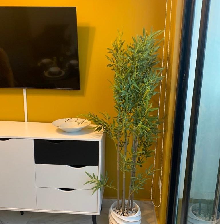 Calle 50, Area Bancaria, Bella Vista: The Gray Amoblado Total, con Luz, Internet