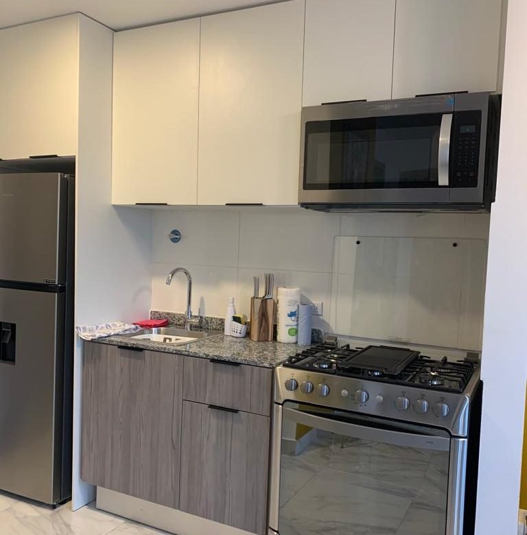 Calle 50, Area Bancaria, Bella Vista: The Gray Amoblado Total, con Luz, Internet
