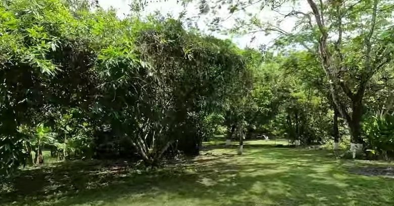 Finca en Playa San Carlos: con 2 Casas, 4.3 Hectáreas (10.585 Acres) de Terreno