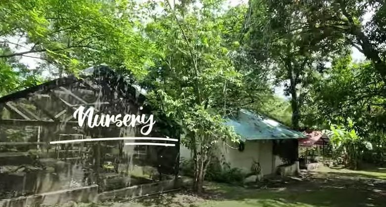 Finca en Playa San Carlos: con 2 Casas, 4.3 Hectáreas (10.585 Acres) de Terreno