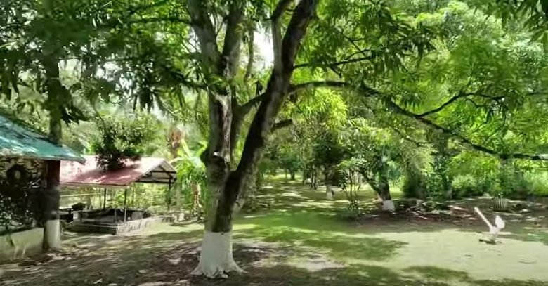 Finca en Playa San Carlos: con 2 Casas, 4.3 Hectáreas (10.585 Acres) de Terreno