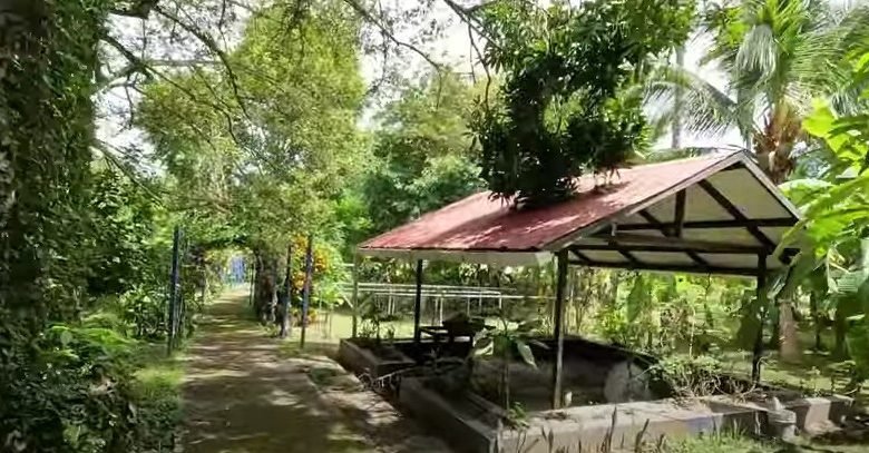Finca en Playa San Carlos: con 2 Casas, 4.3 Hectáreas (10.585 Acres) de Terreno