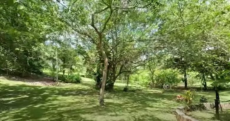 Finca en Playa San Carlos: con 2 Casas, 4.3 Hectáreas (10.585 Acres) de Terreno