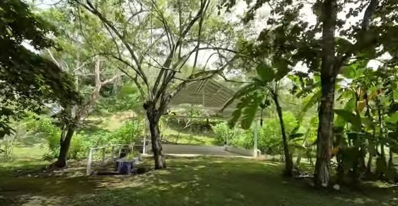 Finca en Playa San Carlos: con 2 Casas, 4.3 Hectáreas (10.585 Acres) de Terreno